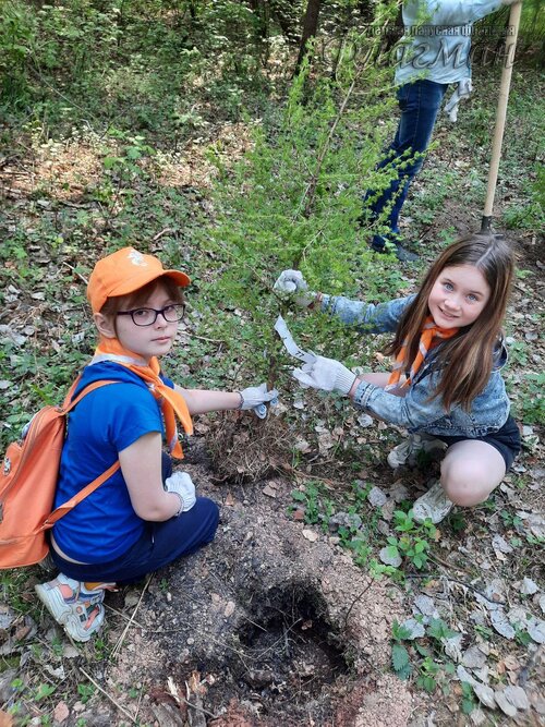 photo_4_2023-05-23_22-19-02